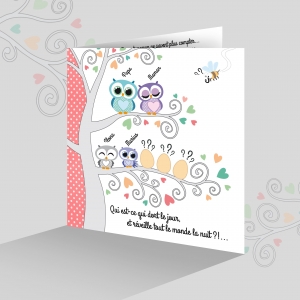 faire-part de naissance jolies chouettes triplés à gratter avec frères et soeur